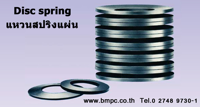 Schnorr Disc spring slotted,  แหวนสปริงแผ่น, Wave washer
